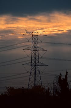 オンライン 家庭教師 WAM 初期費用 料金プラン バーチャル 学習 学生 教材