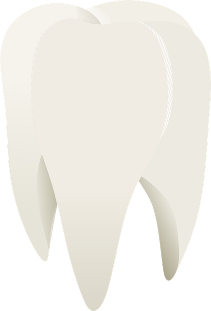 ホワイトニング 歯医者